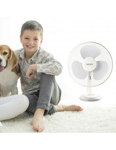 table_wind_1000x1000 2